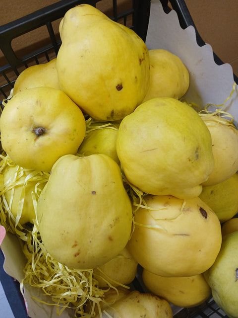 Gutui - Romania - 1kg