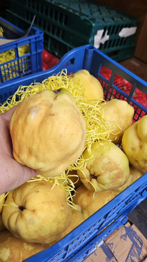 Gutui - 1kg
