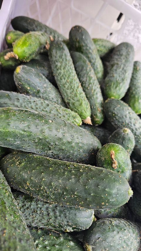 Castraveti romanesti  - 1kg